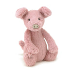 Bashful Piggy
