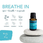 Essential Blends Essential Oils Giftset
