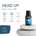 Essential Blends Essential Oils Giftset