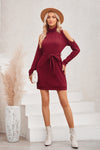 Roll Neck Knit Dress with Cut Out Sleeves