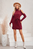 Roll Neck Knit Dress with Cut Out Sleeves